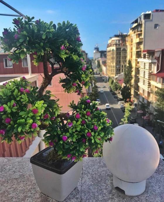 Hotel Elio Inn Batumi Exteriér fotografie